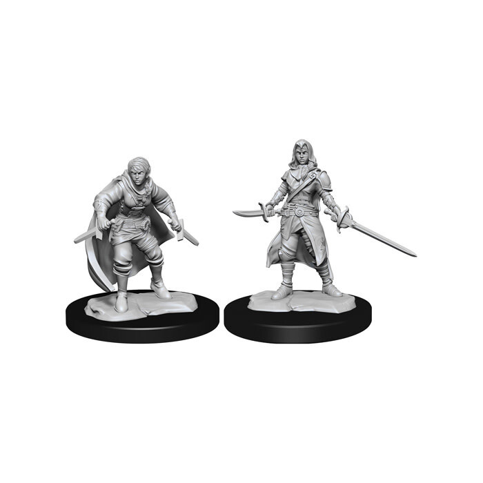 Dungeons &amp; Dragons: Nolzur&#39;s - Half-Elf Female Rogue