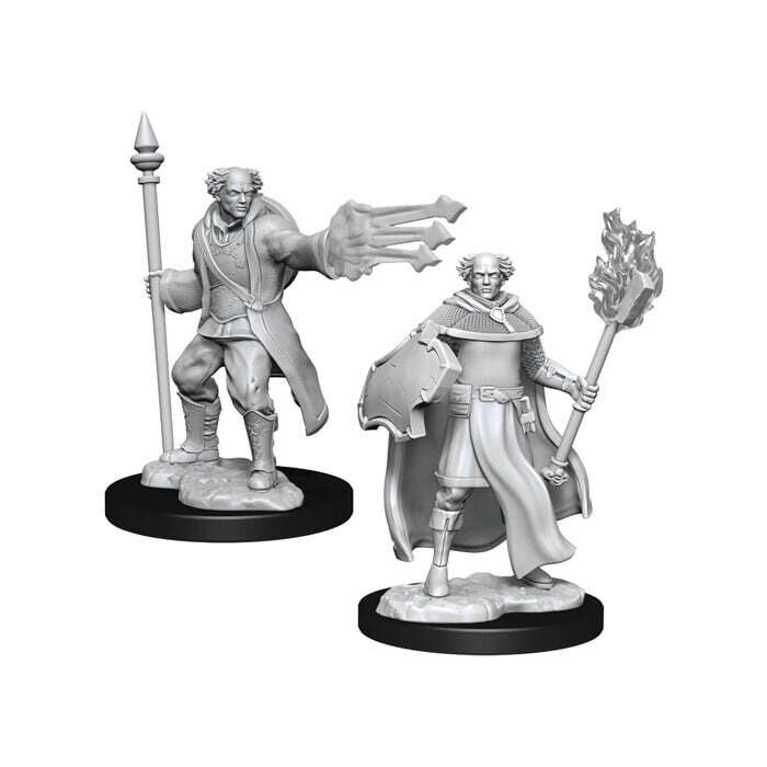 Dungeons &amp; Dragons: Nolzur&#39;s - Multiclass Male  Cleric + Wizard