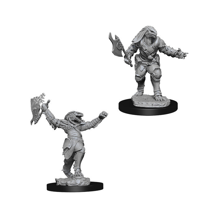 Dungeons &amp; Dragons: Nolzur&#39;s - Dragonborn Female Fighter