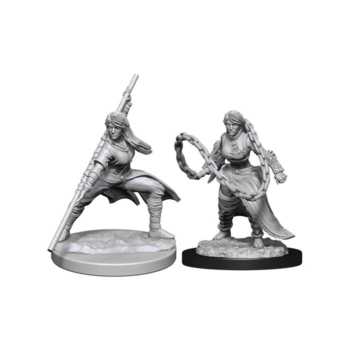 Dungeons &amp; Dragons: Nolzur&#39;s - Human Female Monk