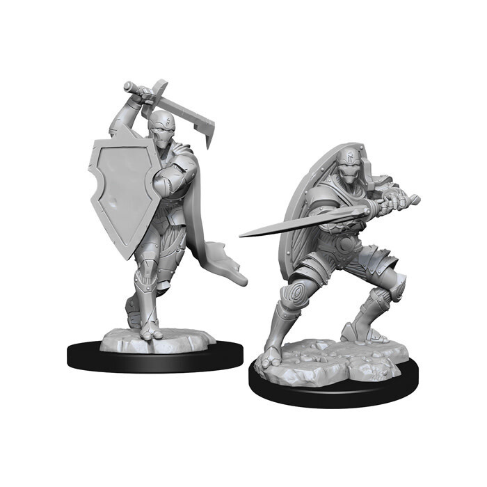 Dungeons &amp; Dragons: Nolzur&#39;s - Warforged Male Fighter