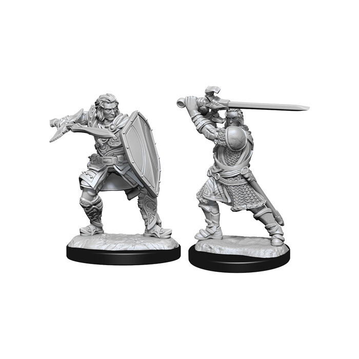 Dungeons &amp; Dragons: Nolzur&#39;s - Human Male Paladin