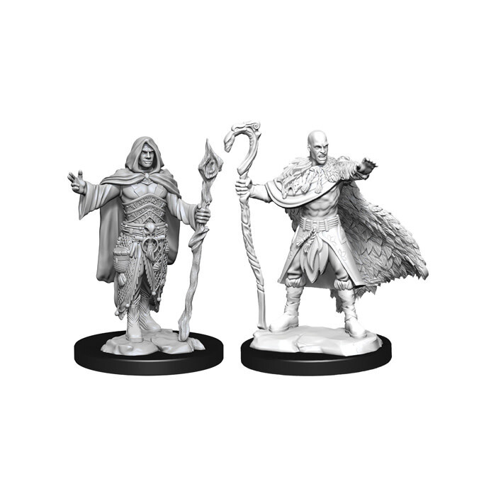 Dungeons &amp; Dragons: Nolzur&#39;s - Human Male Druid