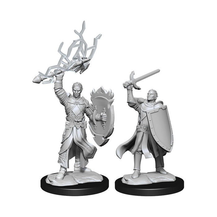 Dungeons &amp; Dragons: Nolzur&#39;s - Half-Elf Male Paladin