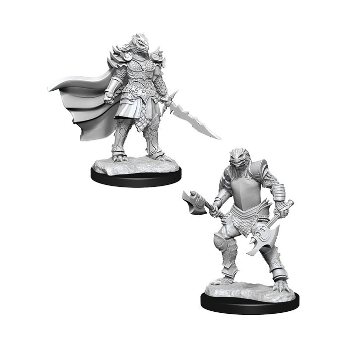 Dungeons &amp; Dragons: Nolzur&#39;s - Dragonborn Female Fighter