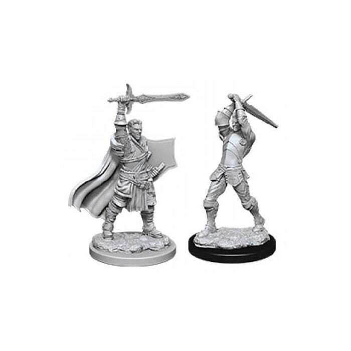 Dungeons &amp; Dragons: Nolzur&#39;s - Human Male Paladin