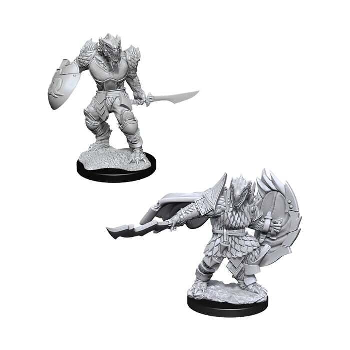 Dungeons &amp; Dragons: Nolzur&#39;s - Dragonborn Male Fighter