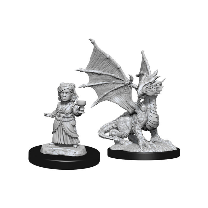 Dungeons &amp; Dragons: Nolzur&#39;s - Silver Dragon Wyrmling &amp; Halfling Female