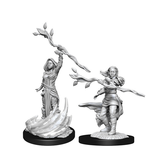 Dungeons &amp; Dragons: Nolzur&#39;s - Human Female Druid