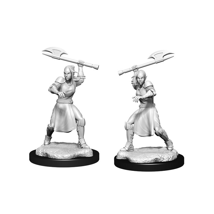 Critical Role: Miniatures - Half-Elf Echo Knight &amp; Echo