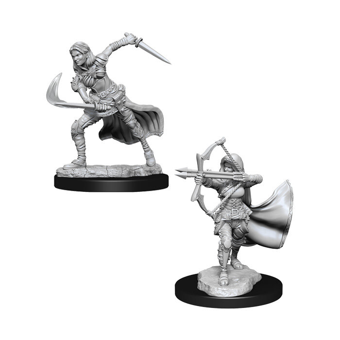 Dungeons &amp; Dragons: Nolzur&#39;s - Air Genasi Female Ranger