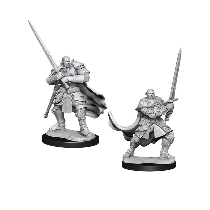 Dungeons &amp; Dragons: Nolzur&#39;s - Half-Orc Male Paladin