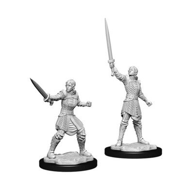 Critical Role: Miniatures - Human Female Dwendalian Empire Fighter