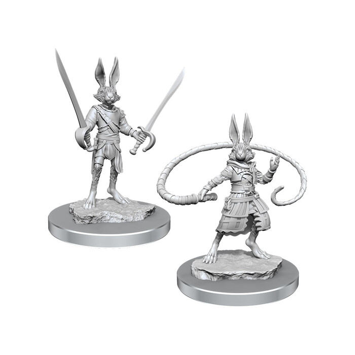 Dungeons &amp; Dragons: Nolzur&#39;s - Harengon Rogues