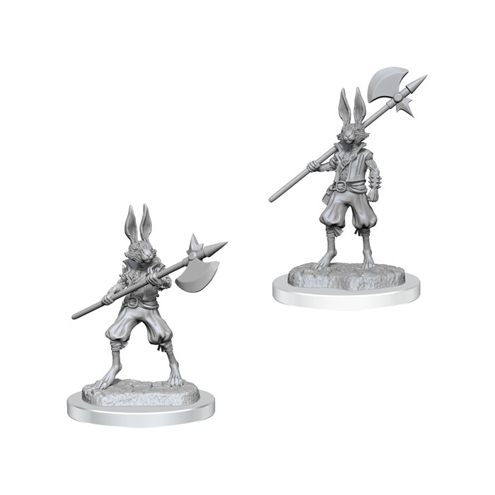 Dungeons &amp; Dragons: Nolzur&#39;s - Harengon Brigands