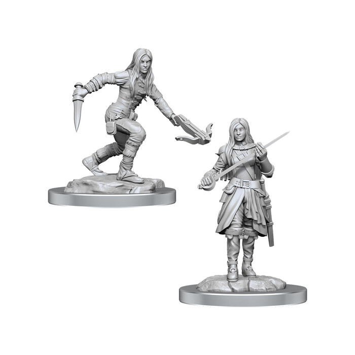 Dungeons &amp; Dragons: Nolzur&#39;s - Half-Elf Female Rogue