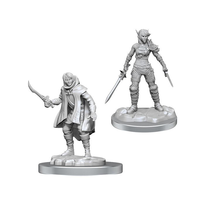 Dungeons &amp; Dragons: Nolzur&#39;s - Elf Rogue &amp; Half-Elf Protege