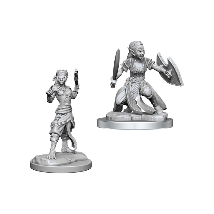 Dungeons &amp; Dragons: Nolzur&#39;s - Shifter Fighter