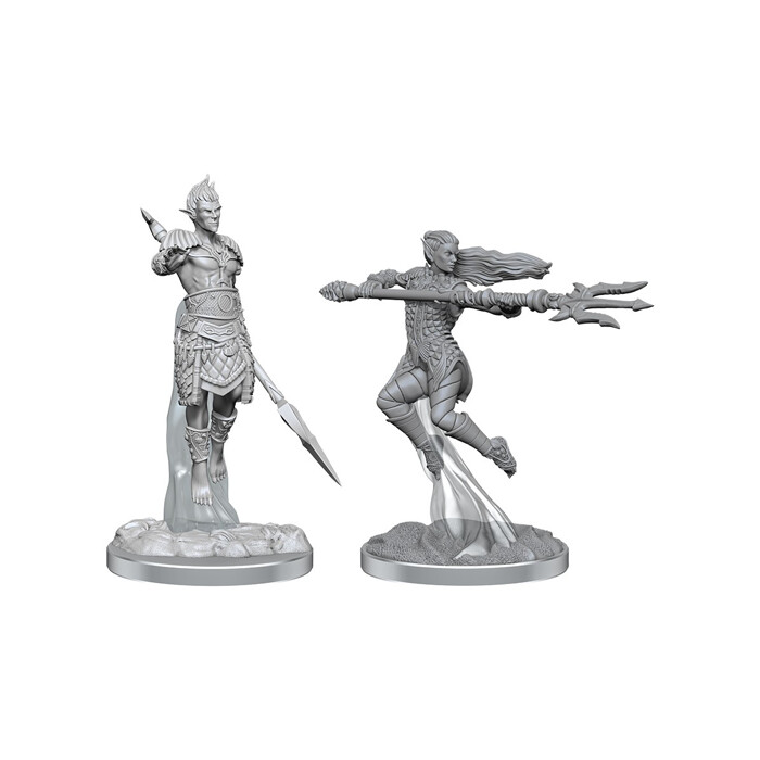 Dungeons &amp; Dragons: Nolzur&#39;s - Sea Elf Fighters