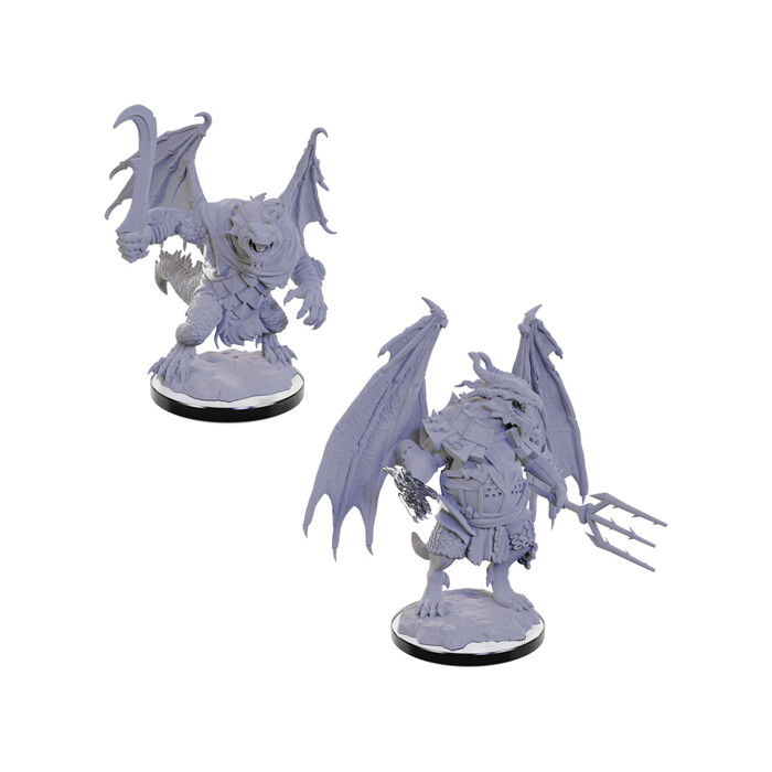 Dungeons &amp; Dragons: Nolzur&#39;s - Draconian Mage &amp; Foot Soldier