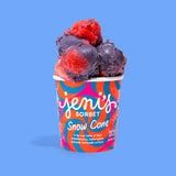Jeni&#39;s Snow Cone Sorbet