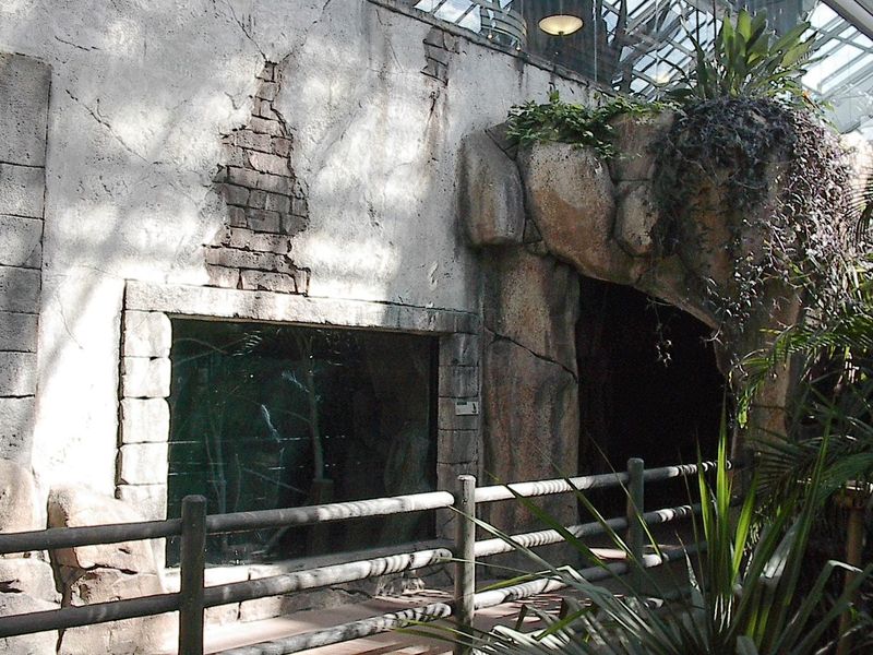 Zoo de Québec - Serre océanienne