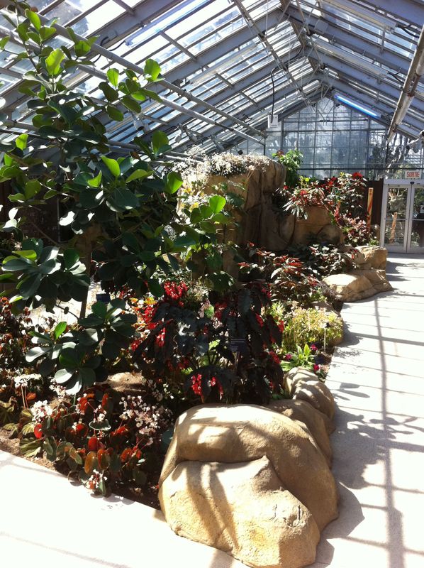 Jardin botanique de Montréal