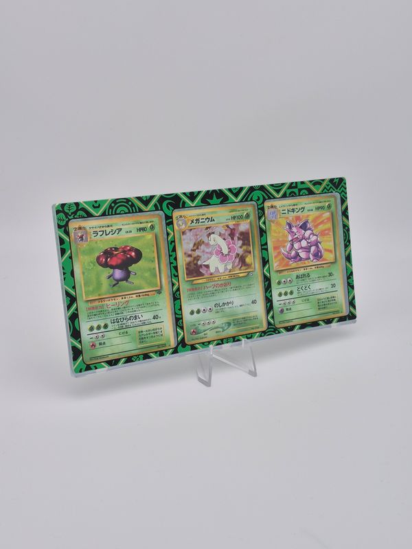 Magnetischer Pflanzen Pokemon Frame Rahmen - Pokemon