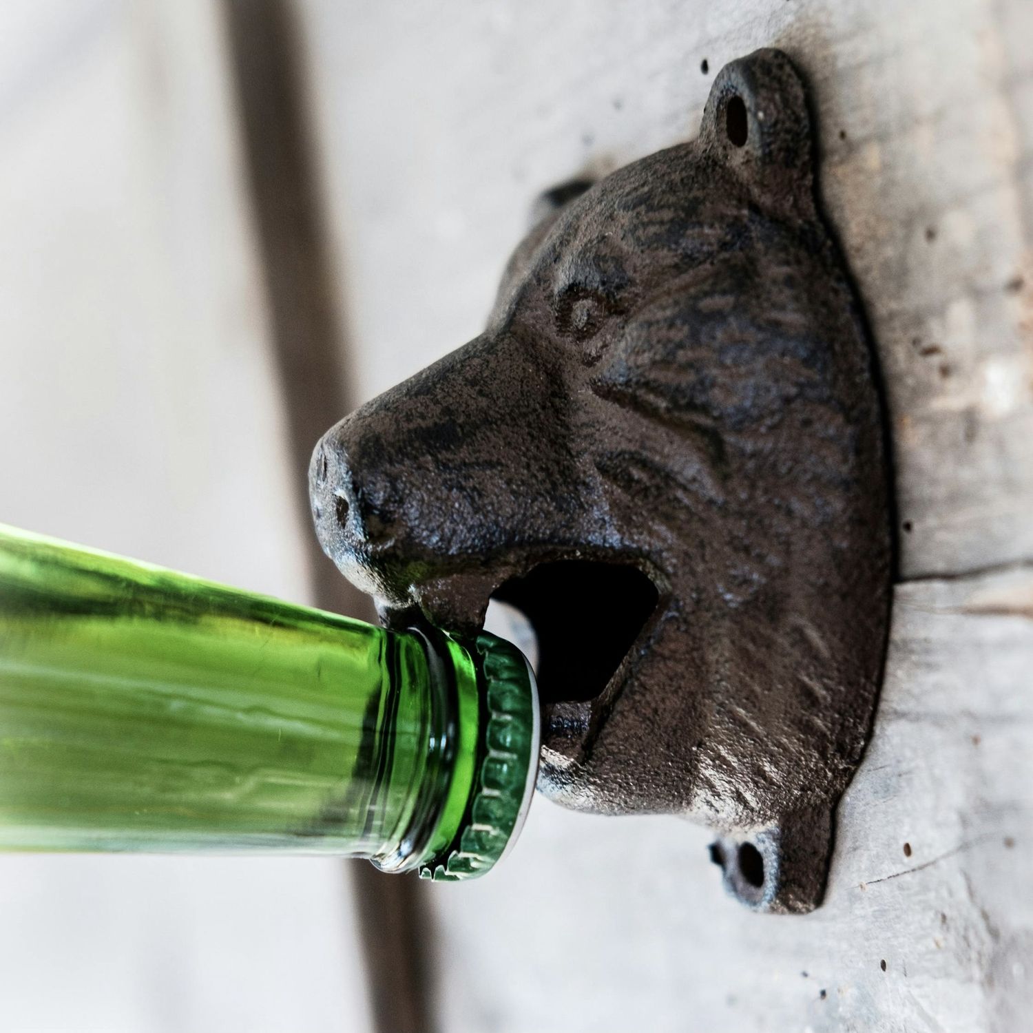 Bear Head Bottle Opener