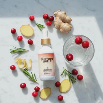 Shroom Soda - Cranberry Ginger