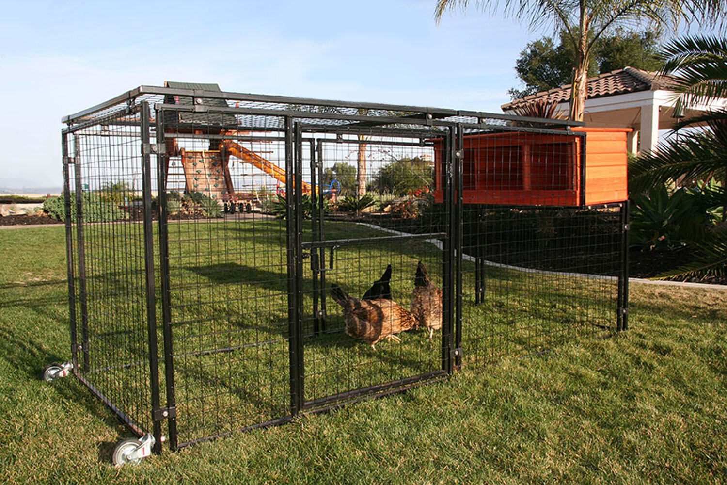 Spring Fling Chicken Coop