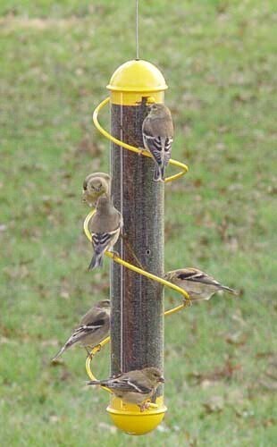 17&quot; Spiral Nyjer Feeder, Yellow