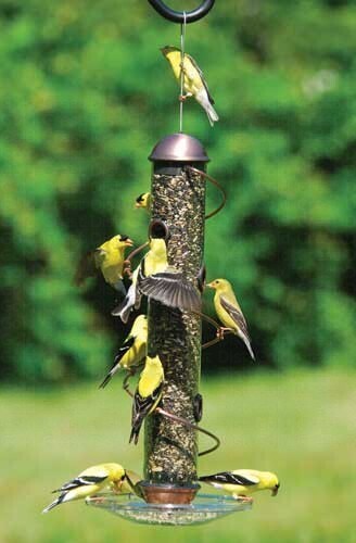 17&quot; Copper Spiral Sunflower Feeder