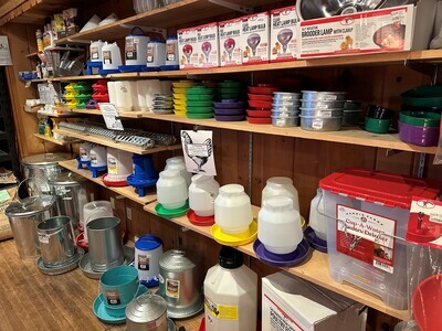 Poultry Supplies