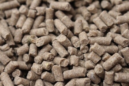 Rice Bran Pellets 50 Lb