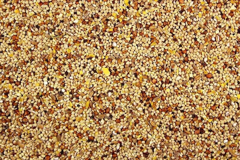 Wild Bird Mix, 25 Lb.