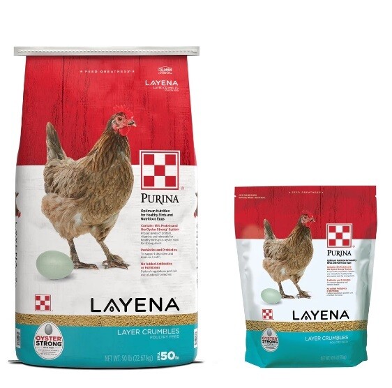Purina Layena Crumble, 10 lb.
