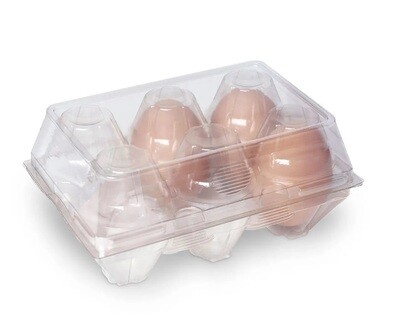 Egg Carton Clear 6 Egg