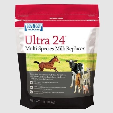 Ultra 24 Multi Species Milk Replacer 4 Lb