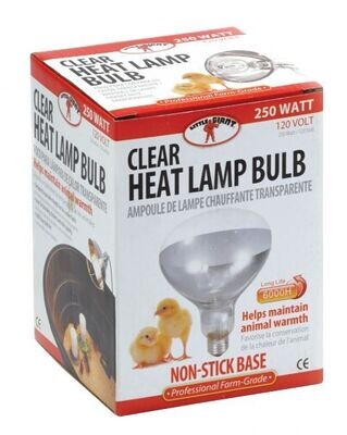 Clear Heat Lamp 250W