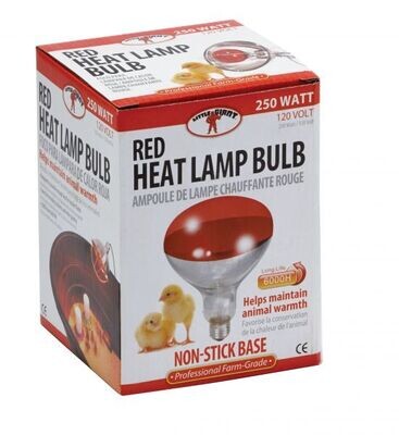 Red Heat Lamp 250W