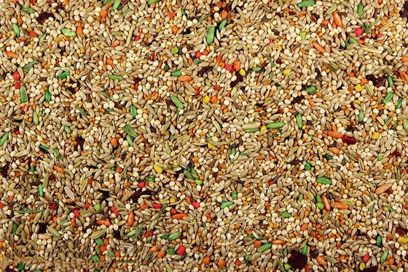 Parakeet Cuisine, 20 lb.