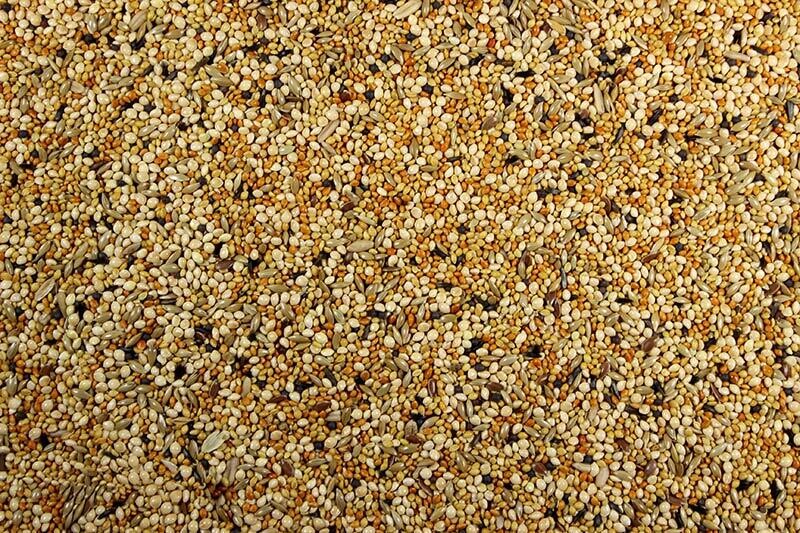 Finch Mix with Millet, 50 lb.