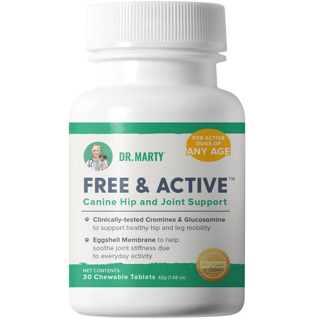 Dr. Marty Free &amp; Active