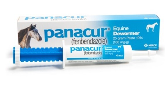 Panacur Dewormer Paste