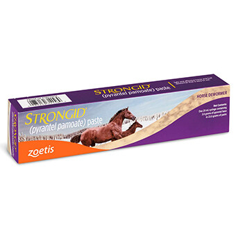 Strongid Paste