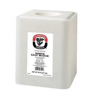 Plain Salt Block, 50 Lb.