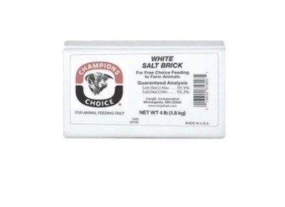 Plain Salt Brick 4 Lb Case(12) 12/4