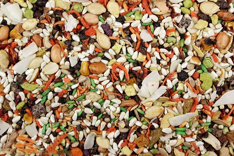 Small Hookbill Cuisine 20 Lbs