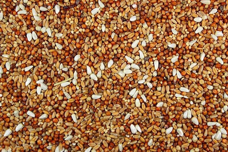 Dove Mix 5 Lb